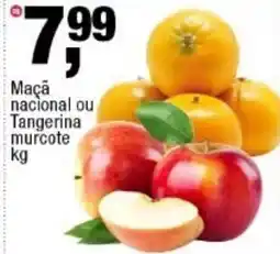 Frangolândia Maçã nacional ou tangerina murcote oferta