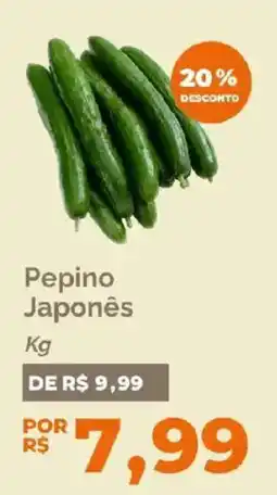 Oba Hortifruti Pepino Japonês oferta