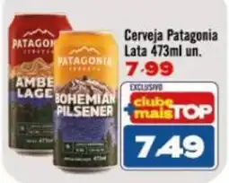 Rede Top Cerveja Patagonia oferta