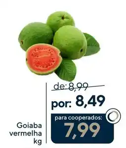 Coop Goiaba vermelha oferta