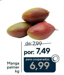 Coop Manga palmer kg oferta
