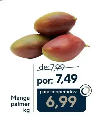 Coop Manga palmer kg oferta