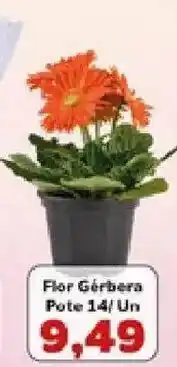 Supermercados Tauste Flor Gérbera oferta
