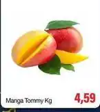 Spani Atacadista Tommy - manga oferta