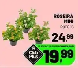 Supermercado Cubatao Roseira mini oferta