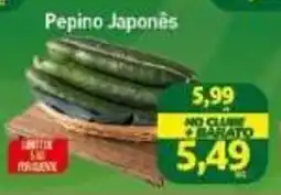 Rede Bom Lugar Pepino Japonês oferta