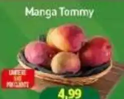 Rede Bom Lugar Manga Tommy oferta