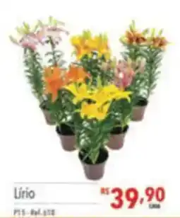 Supermercados Condor Lírio oferta