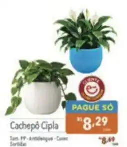 Supermercados Condor Cachepô Cipla oferta