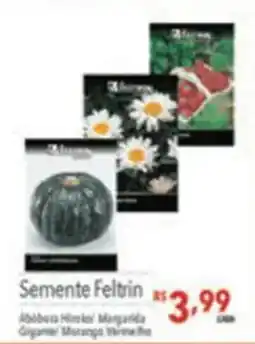 Supermercados Condor Semente Feltrin oferta