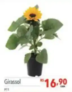 Supermercados Condor Girassol oferta