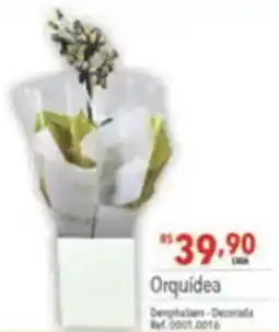 Supermercados Condor Orquídea oferta