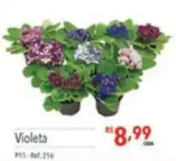 Supermercados Condor Violeta oferta