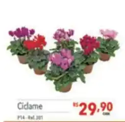Supermercados Condor Cidame oferta