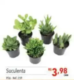 Supermercados Condor Suculenta oferta