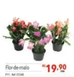 Supermercados Condor Flor-de-maio oferta