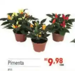Supermercados Condor Pimenta oferta