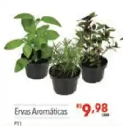 Supermercados Condor Ervas Aromáticas oferta