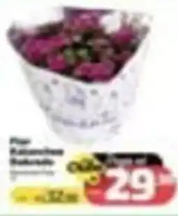 Supermercado Jacomar Pote de flores decoradas oferta