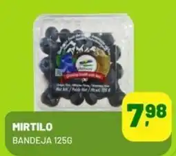 Spasso Sabores Mirtilo oferta