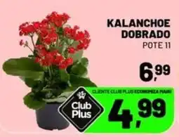 Spasso Sabores kalancheo dobrado oferta