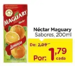 Carrefour Néctar maguary sabores oferta
