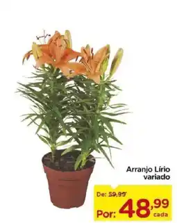 Carrefour Arranjo Lírio variado oferta