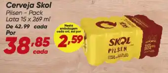 Cerveja skol pilsen - pack