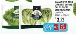 Supermercado Estrela Azul Salanova mini crespa verde ou alface mini romana oferta