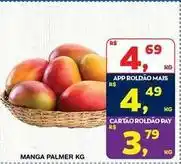 Roldão Mais - manga palmer oferta