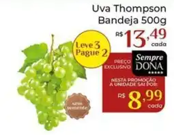 Dona de Casa Uva thompson oferta