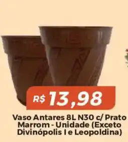 Mart Minas Vaso antares 8l n30 c/ prato marrom oferta