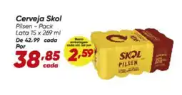 Dia Skol - cerveja oferta