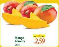 Atacadão Tommy - manga oferta