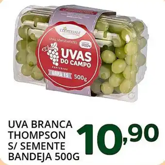 Uva branca thompson s/ semente