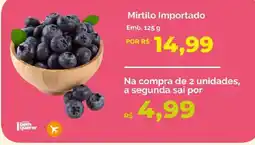 Oba Hortifruti Mirtilo Importado oferta