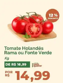Oba Hortifruti Tomate Holandês Rama ou Fonte Verde oferta