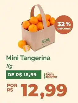 Oba Hortifruti Mini Tangerina oferta