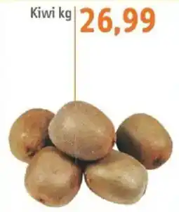Sonda Kiwi kg oferta
