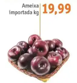 Sonda Ameixa importada oferta