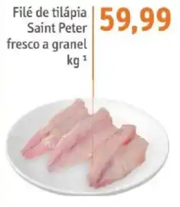 Sonda Filé de tilápia saint peter fresco a granel oferta