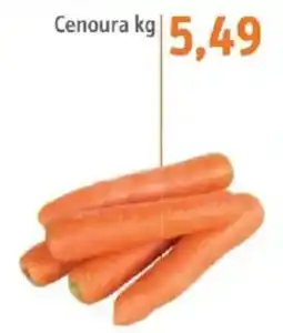 Sonda Cenoura kg oferta