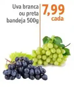 Sonda Uva branca ou preta oferta