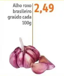 Sonda Alho roxo brasileiro graúdo oferta