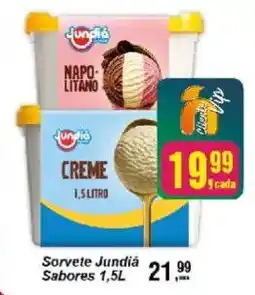 Negreiros Sorvete Jundia Sabores 1,5L oferta