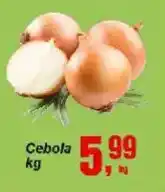 Negreiros Cebola oferta