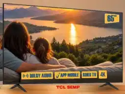 Berlanda TV SEMP 65" 65862R oferta