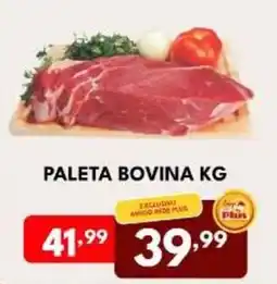 Rede Plus Supermercados Paleta bovina kg oferta