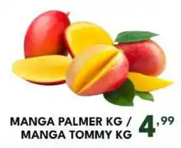 Rede Plus Supermercados manga palmer kg / manga tommy kg oferta