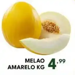Rede Plus Supermercados melao amarelo kg oferta